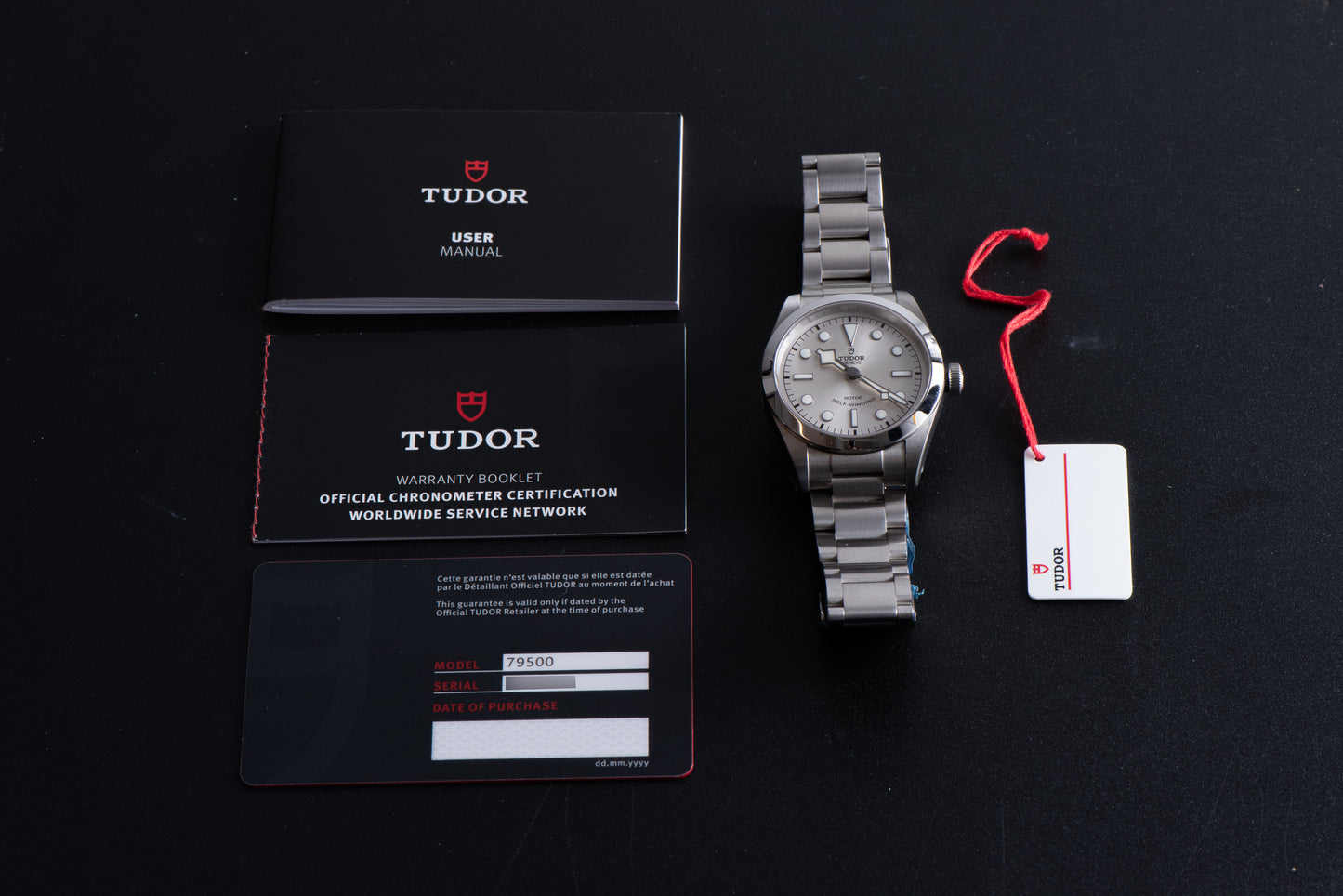 Tudor Black Bay 36