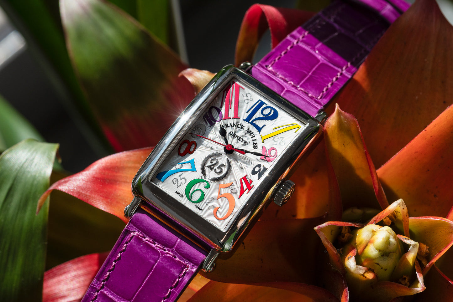 Franck Muller Long Island Color Dreams 25th Anniversary Collection