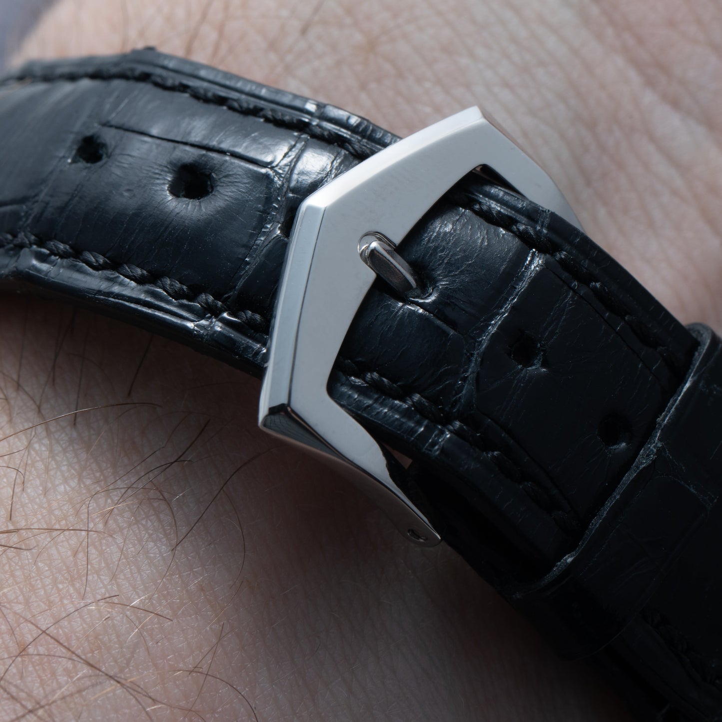 Patek Philippe Calatrava Cloisonné 'Iris & Night Fireflies'