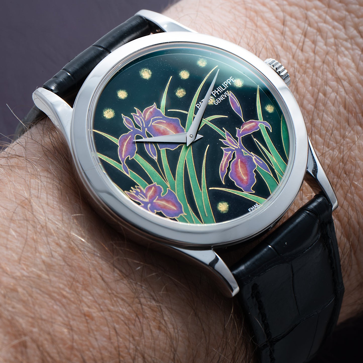 Patek Philippe Calatrava Cloisonné 'Iris & Night Fireflies'