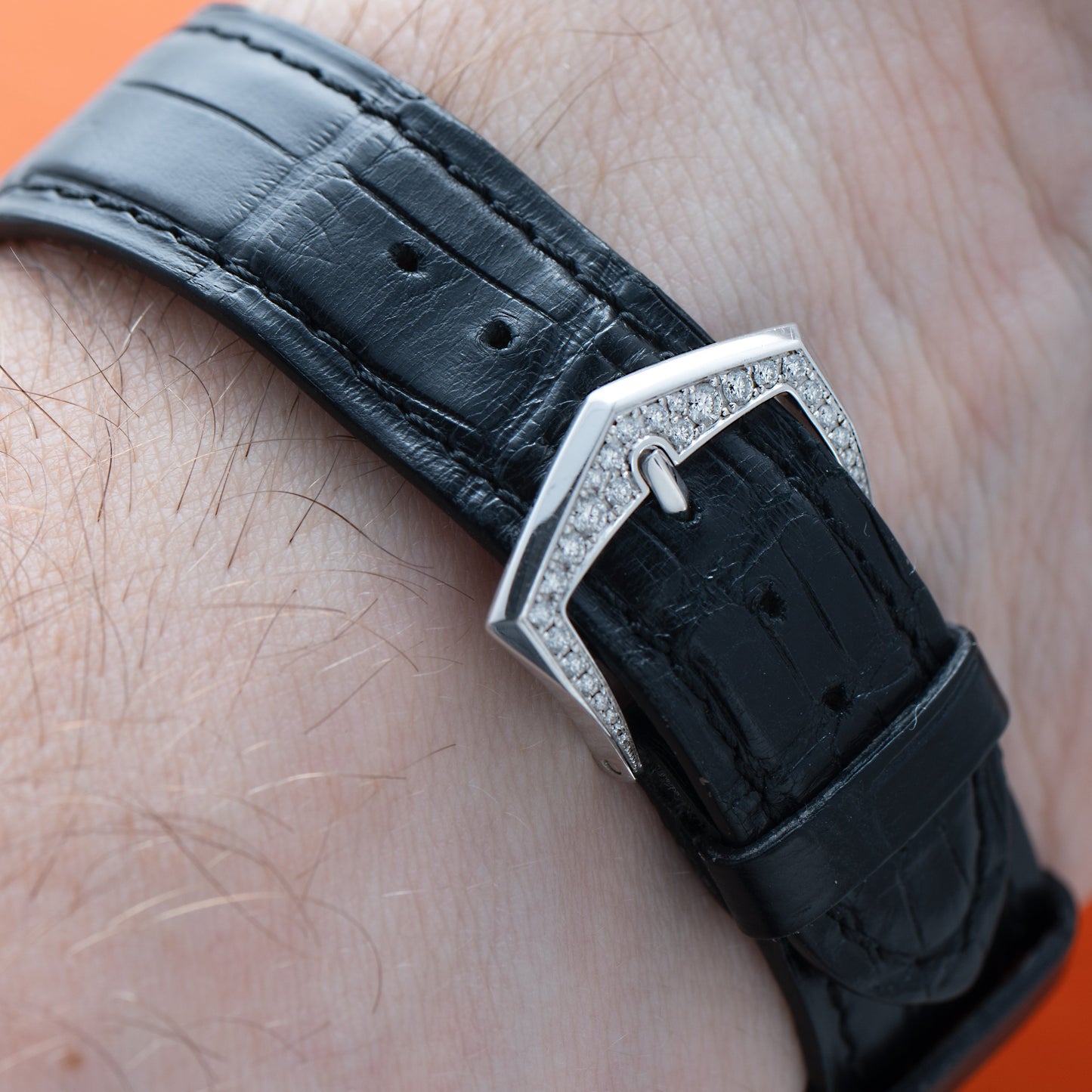 Patek Philippe Calatrava Cloisonné 'Koi Carp'