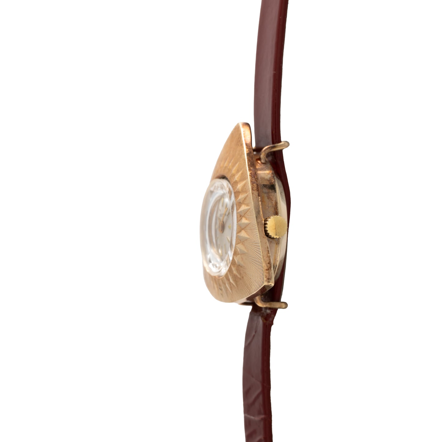 Croton Nivada Grenchen Colorama