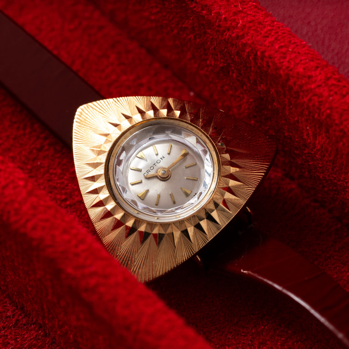 Croton Nivada Grenchen Colorama