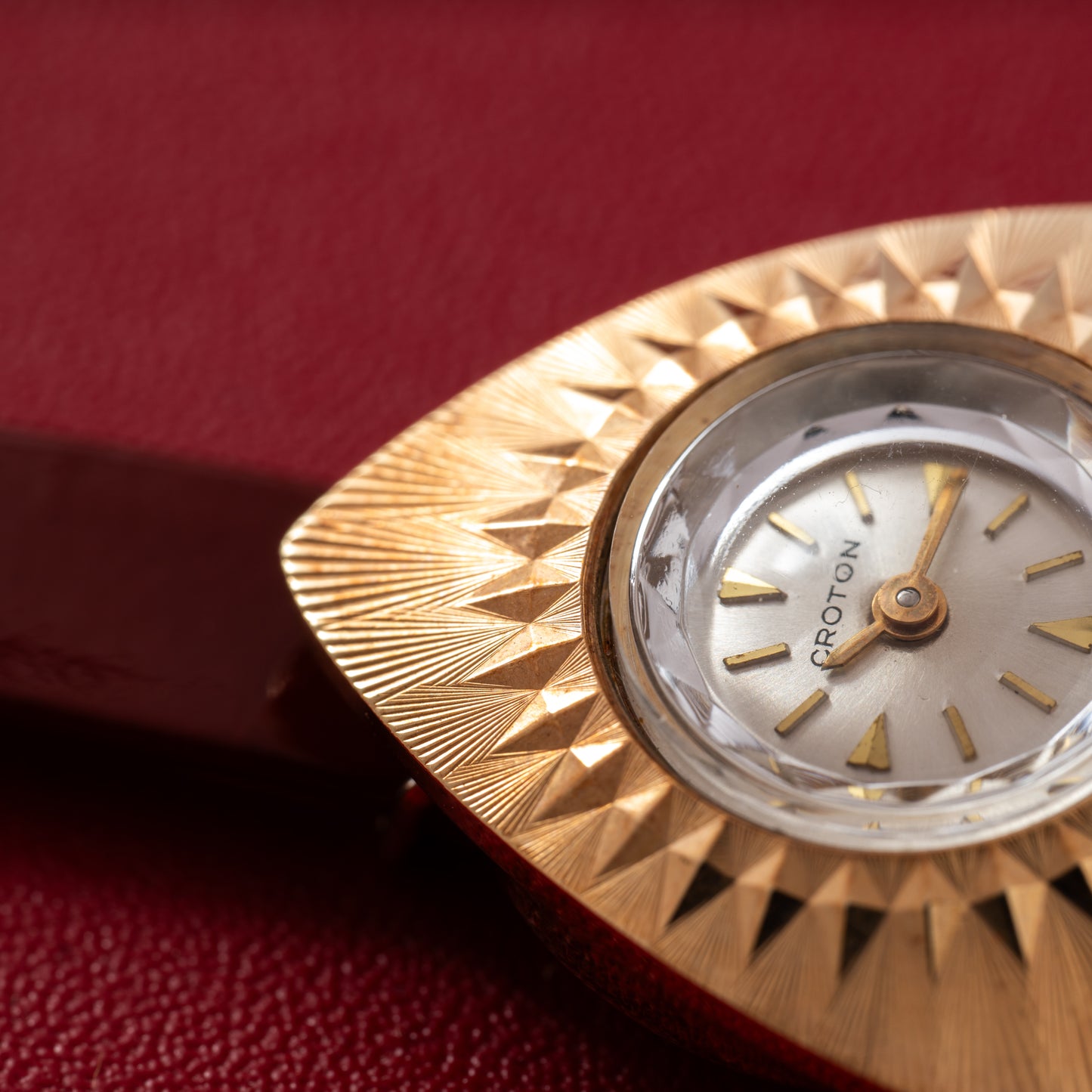 Croton Nivada Grenchen Colorama