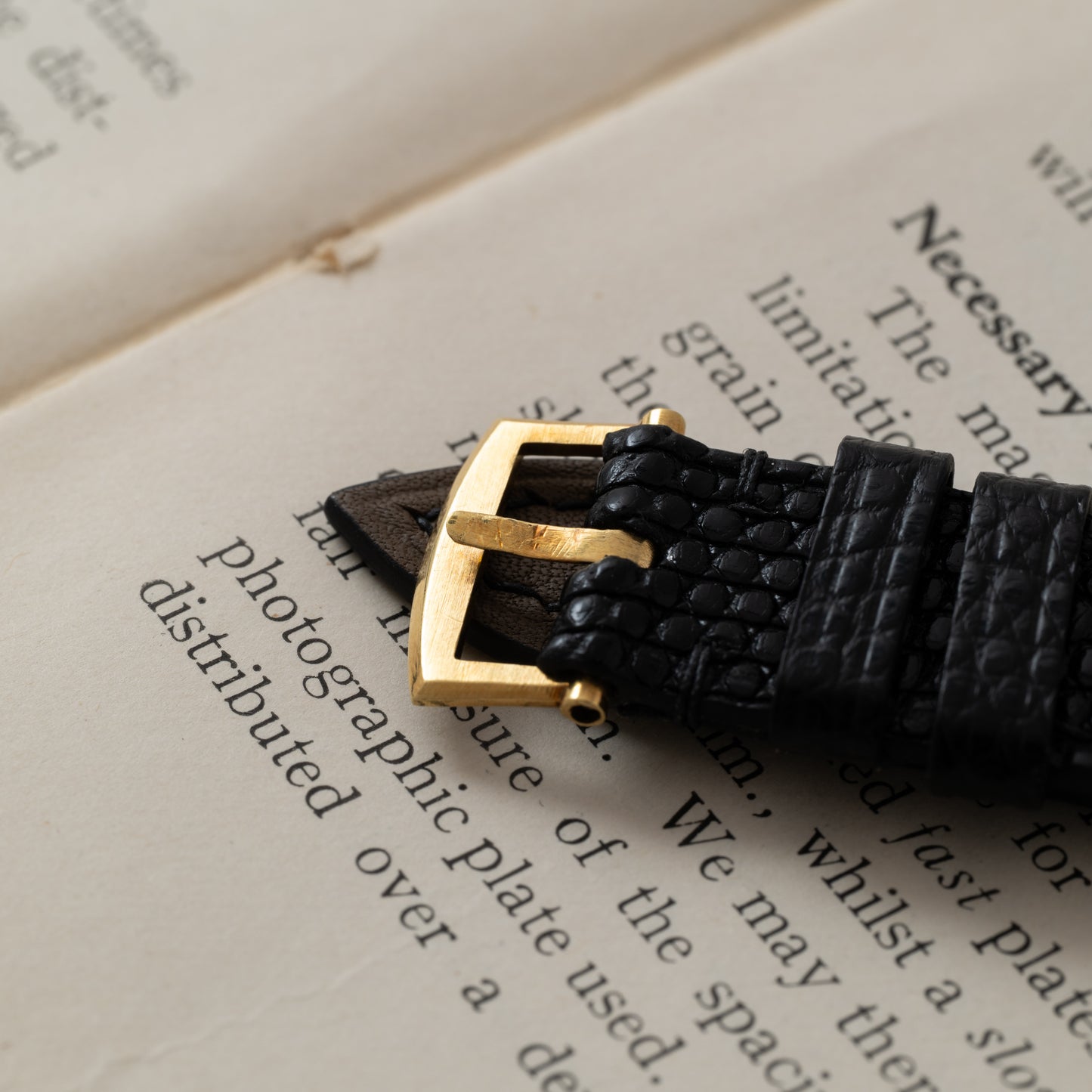 Patek Philippe Calatrava 'Sector Dial'