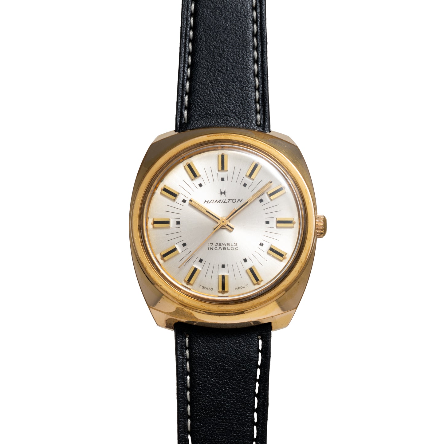 Hamilton Cushion Case