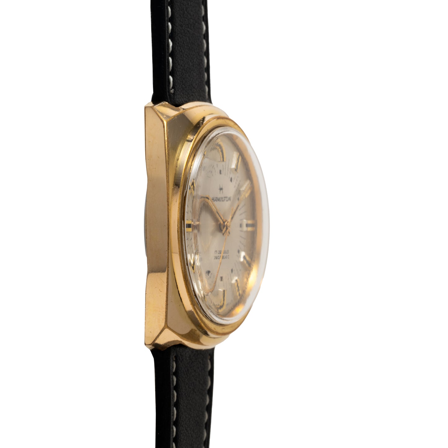 Hamilton Cushion Case