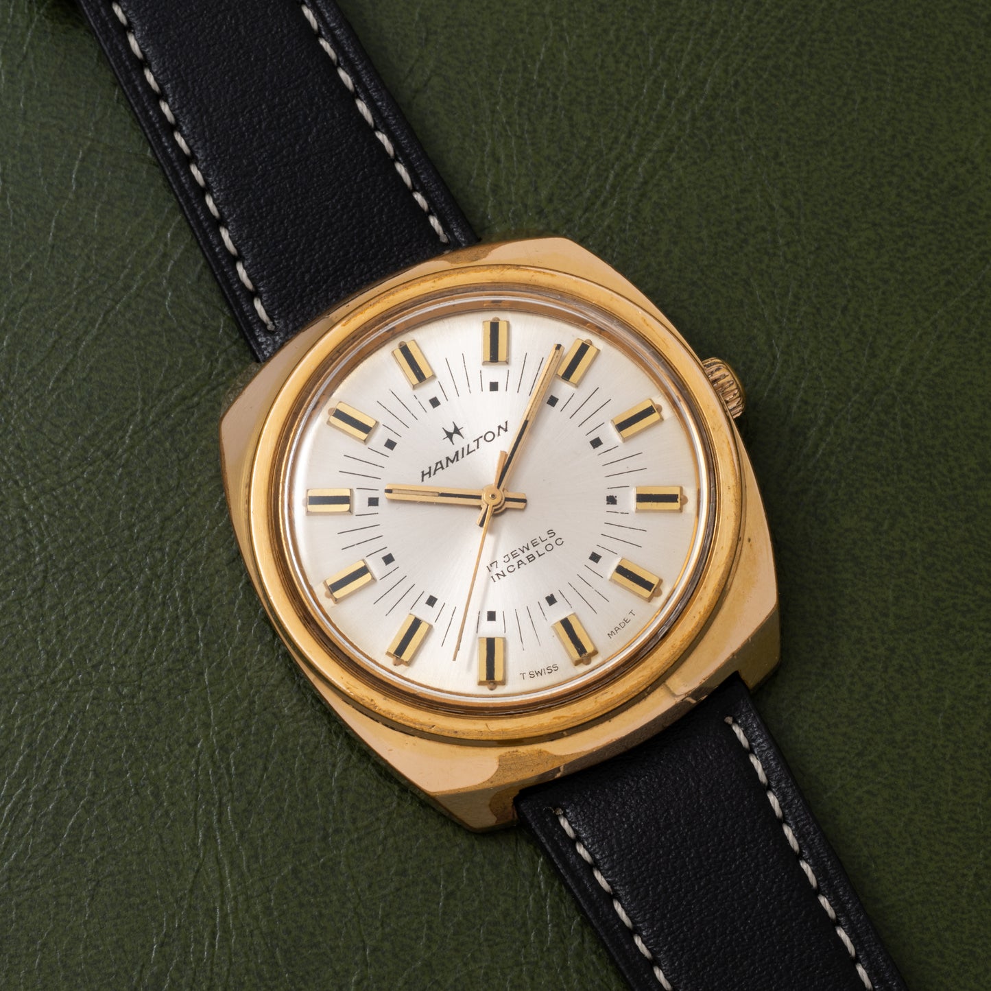 Hamilton Cushion Case