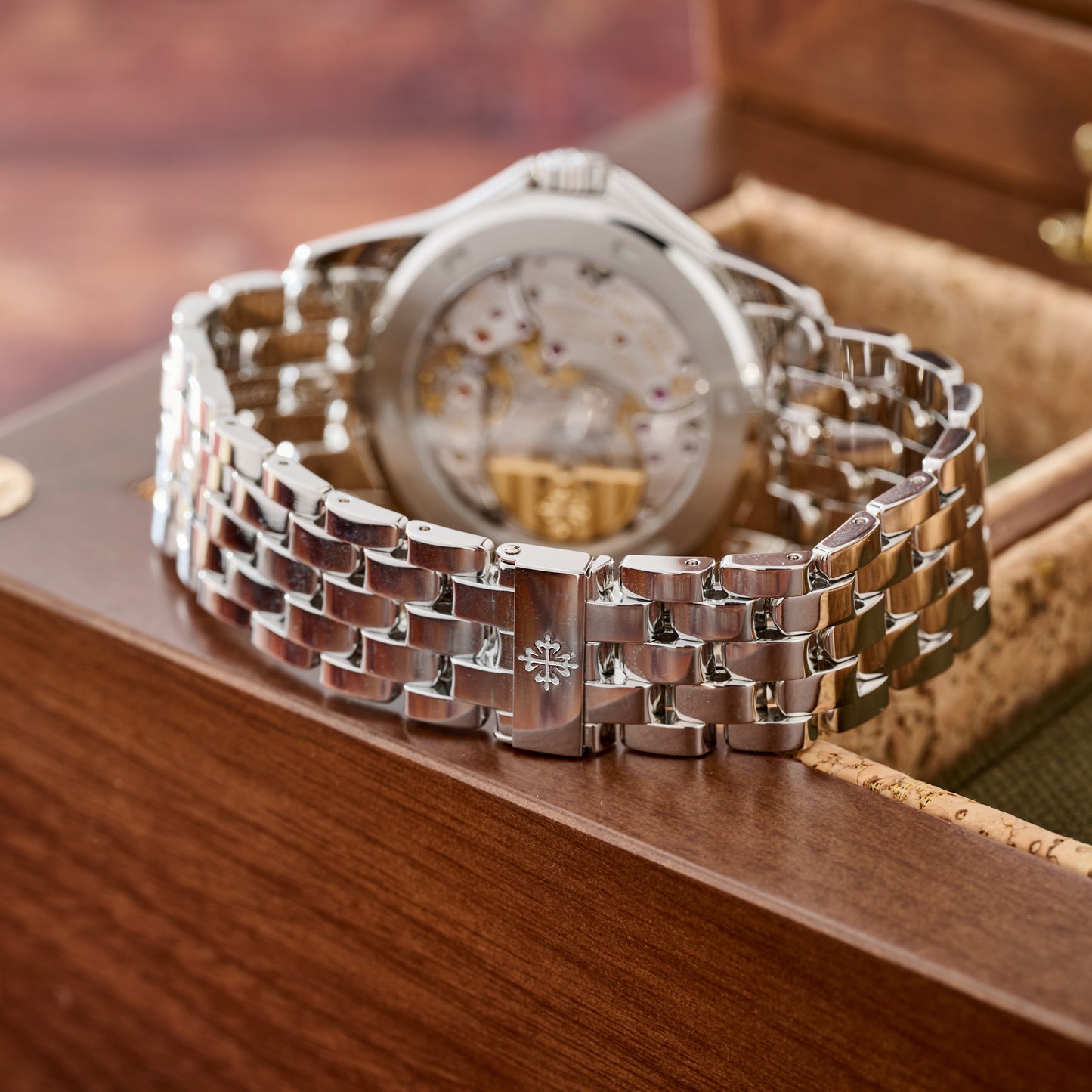 Patek Philippe World Time Cloisonné