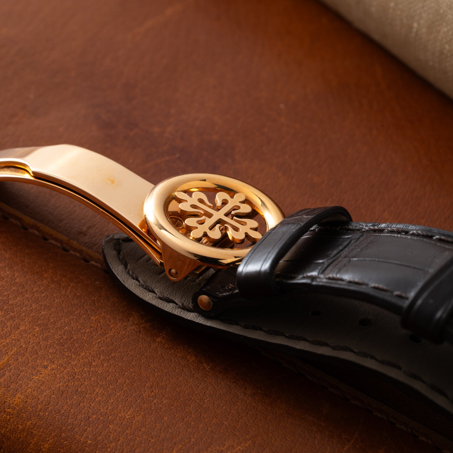 Patek Philippe World Time Cloisonné