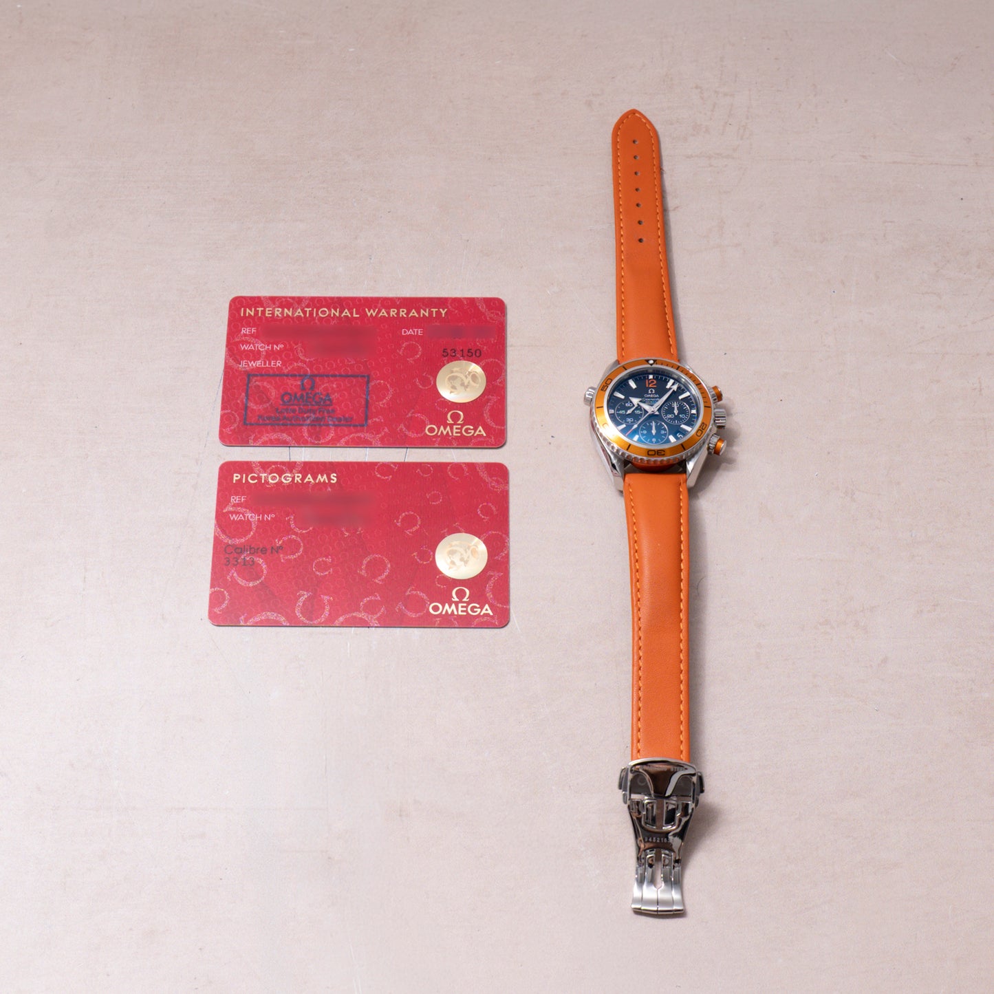 Omega Seamaster Planet Ocean 600M