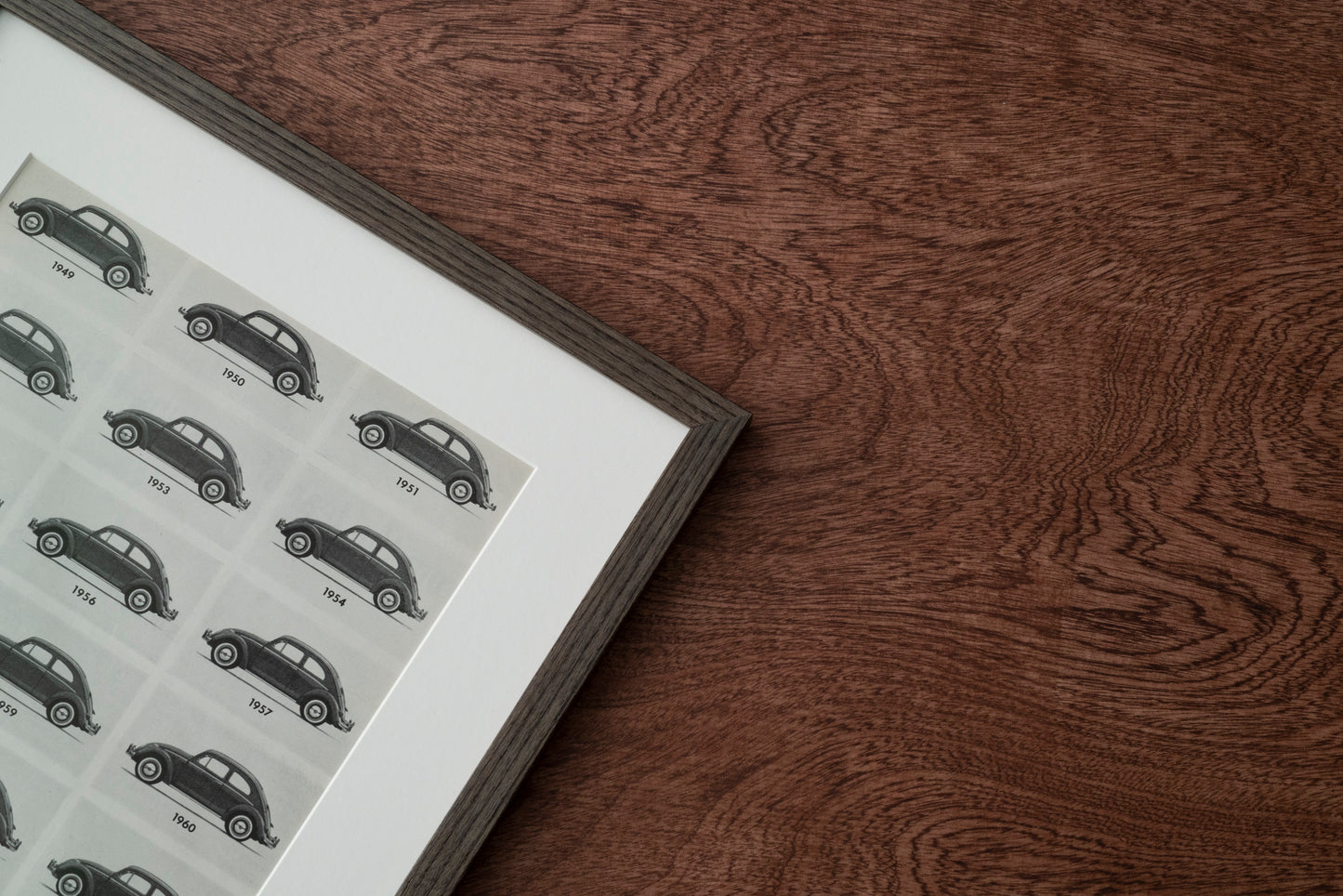 Volkswagen Beetle 'Theory Of Evolution'