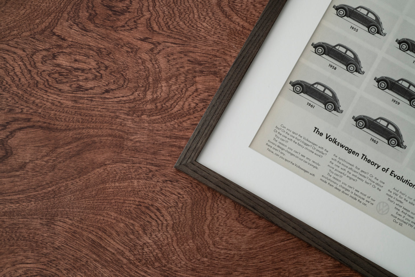 Volkswagen Beetle 'Theory Of Evolution'