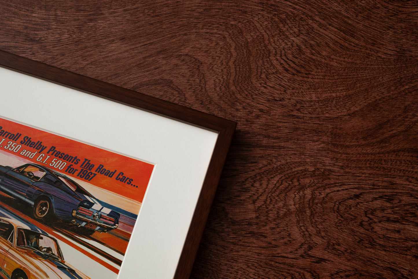 Ford Shelby GT350 & GT500 'The Road Cars'