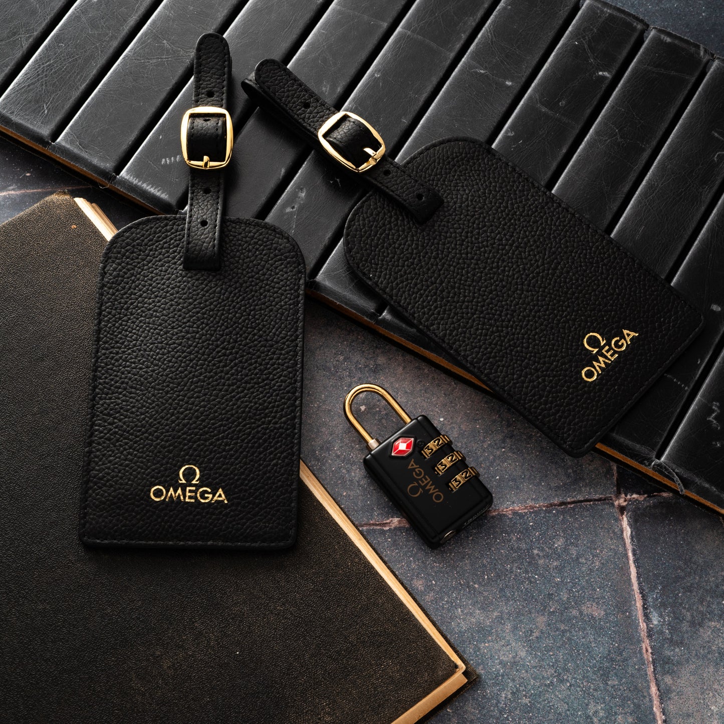 Omega Luggage Tag and Combination Lock Set