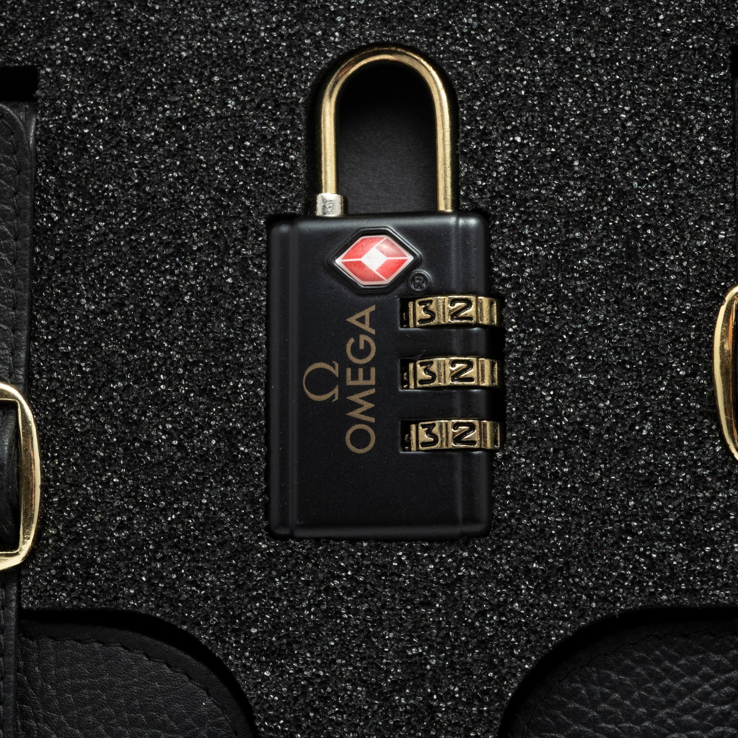 Omega Luggage Tag and Combination Lock Set