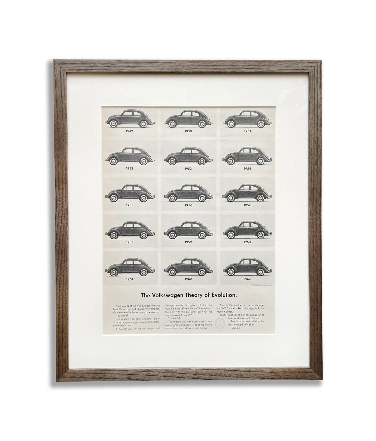 Volkswagen Beetle 'Theory Of Evolution'