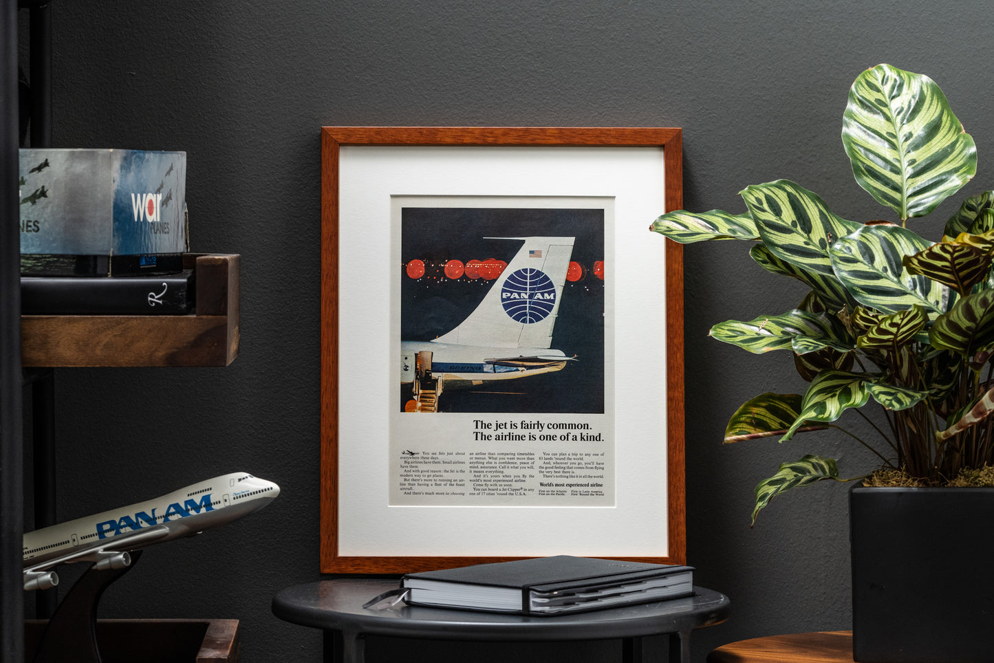 Pan Am 'The Jet Is Fairly Common'