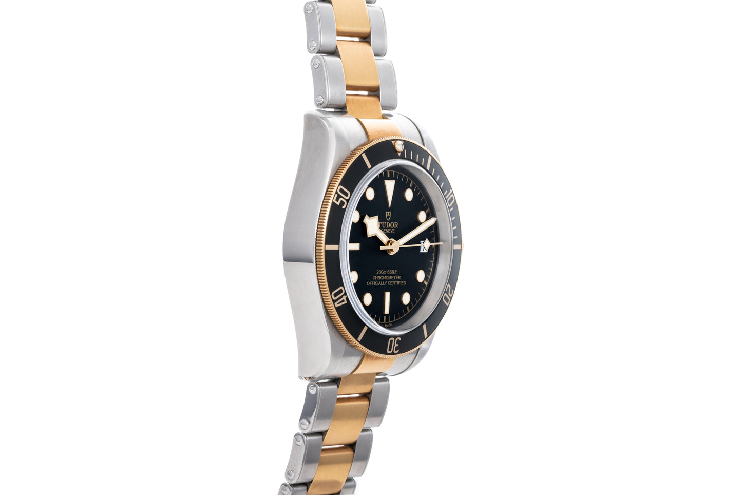 Tudor Black Bay S&G
