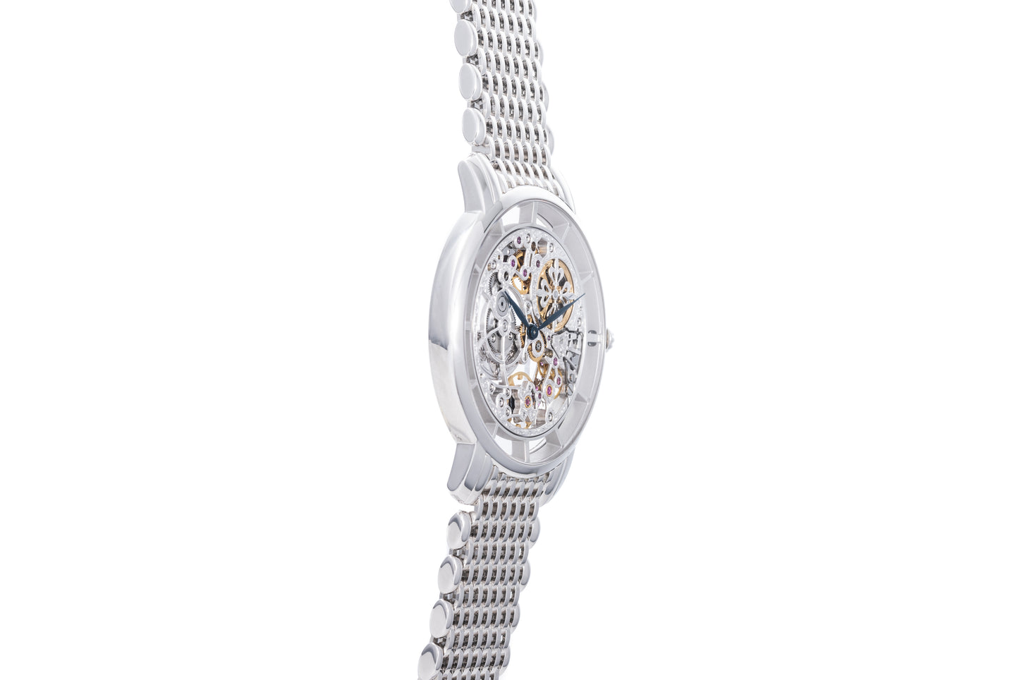 Patek Philippe Complications 'Skeleton'