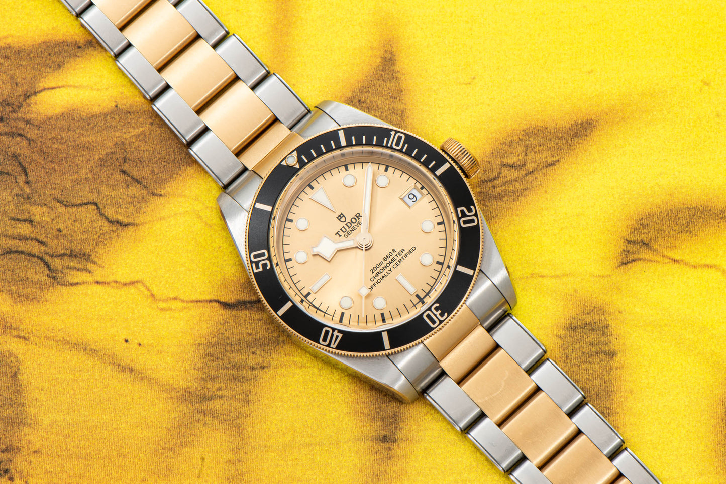 Tudor Black Bay S&G