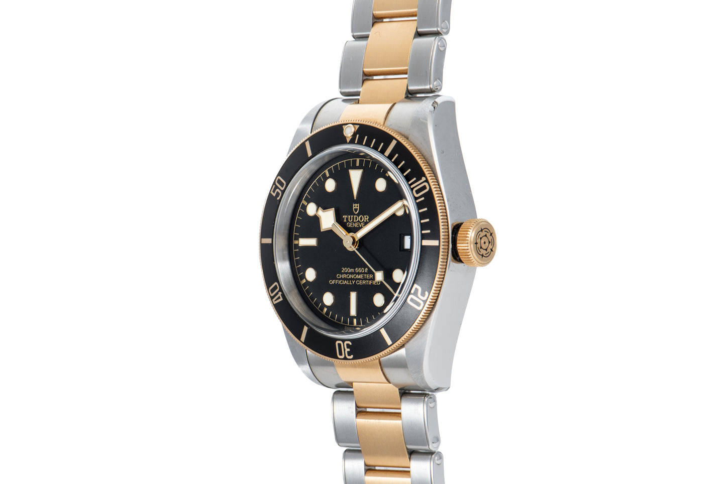 Tudor Black Bay S&G