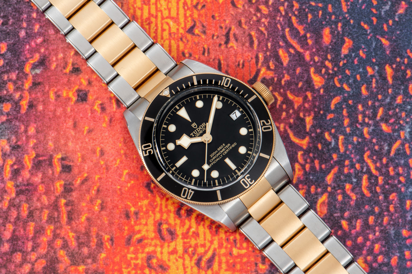 Tudor Black Bay S&G