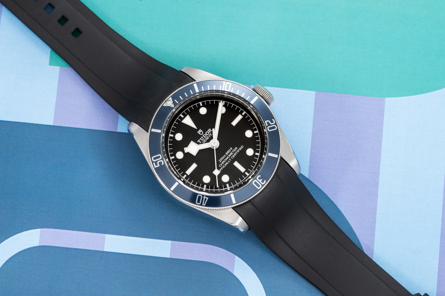 Tudor Black Bay