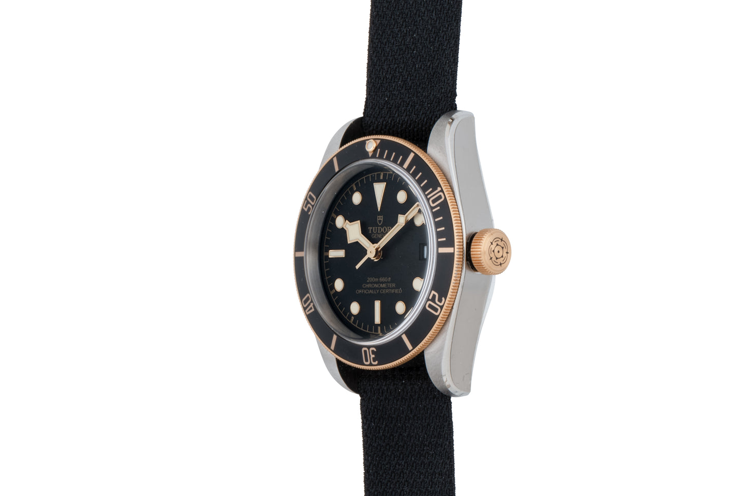 Tudor Black Bay S&G