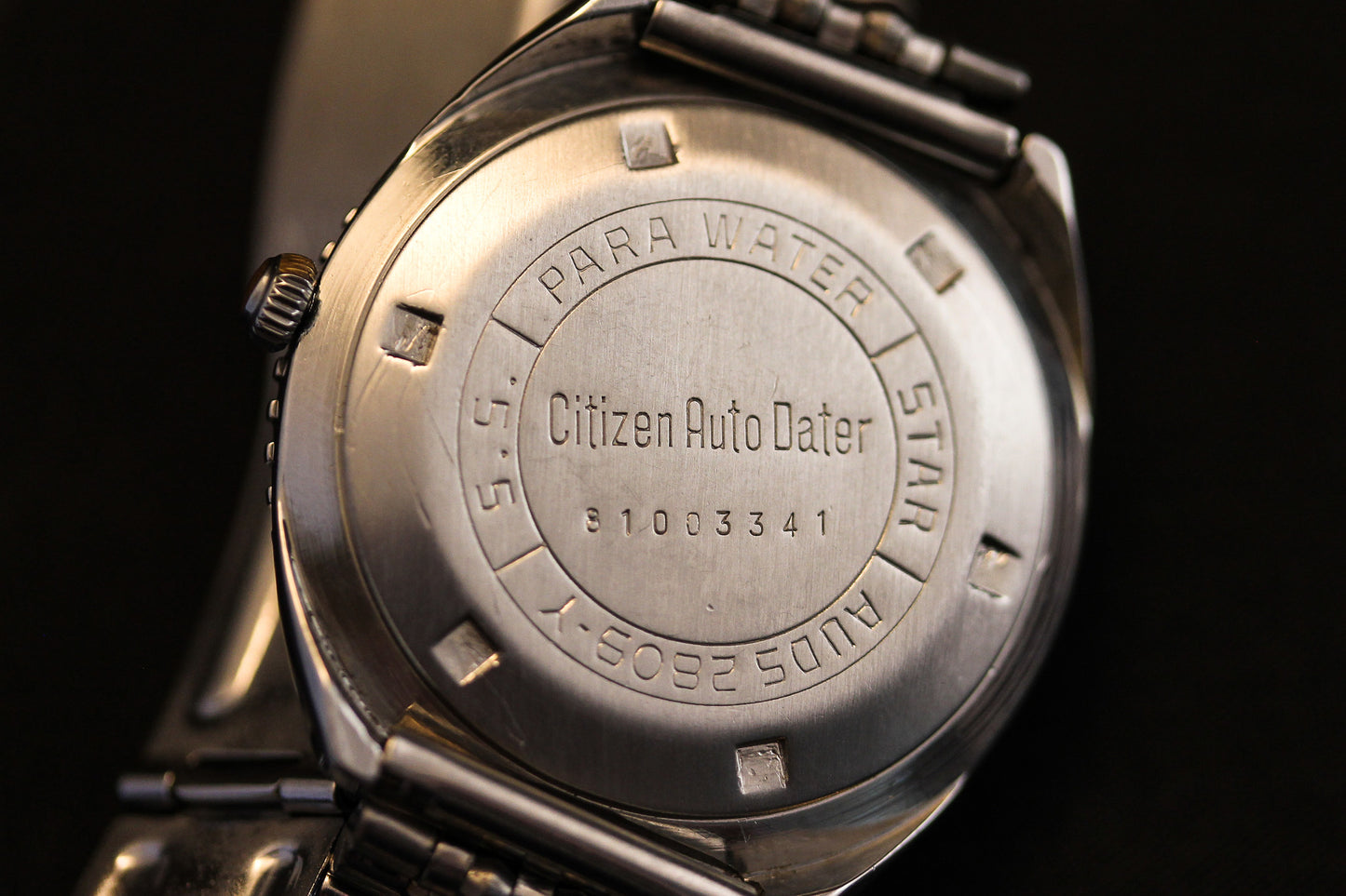 Citizen Diver