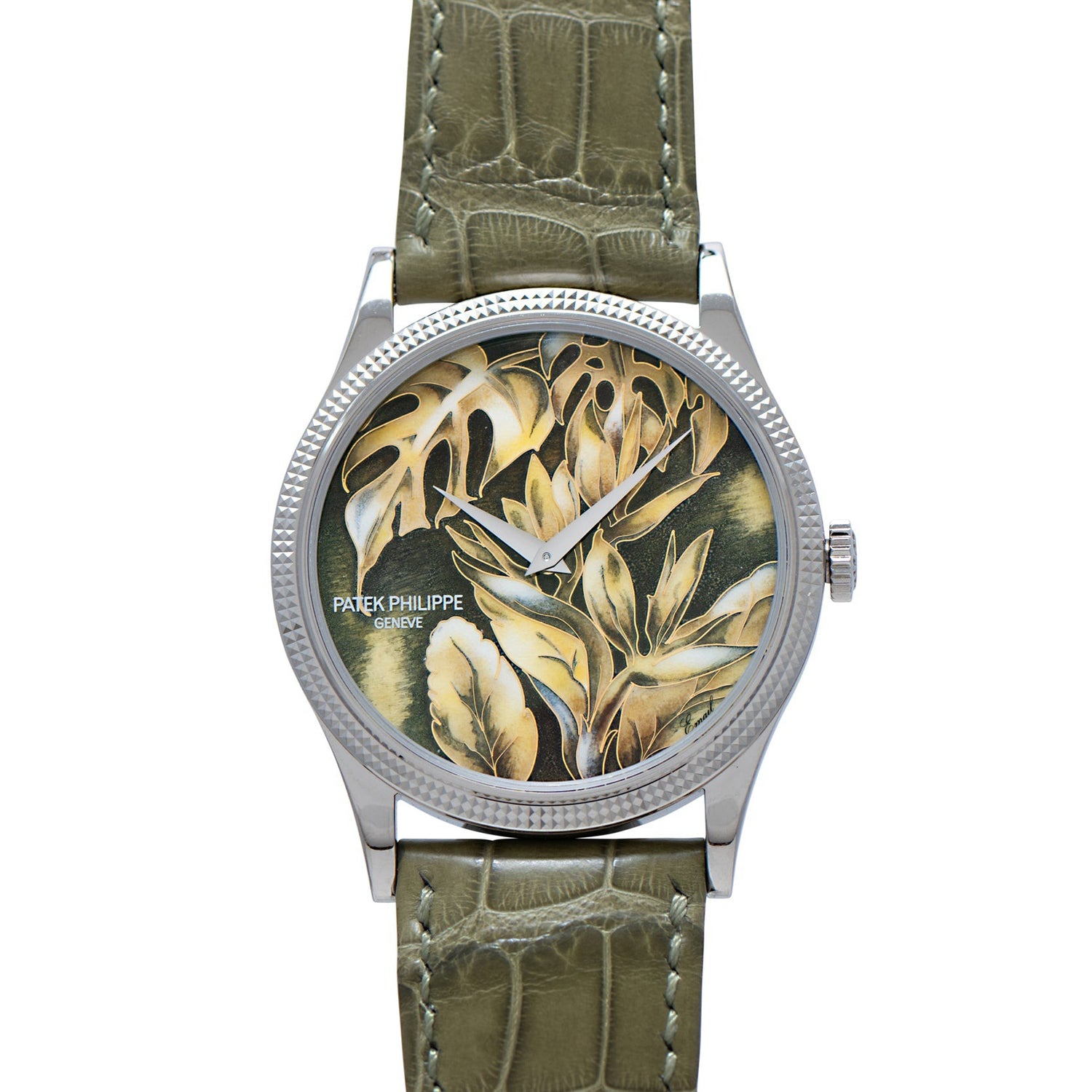 Patek Philippe Calatrava CloisonnΓ© 'Tropical Leaves II' β Analog:Shift