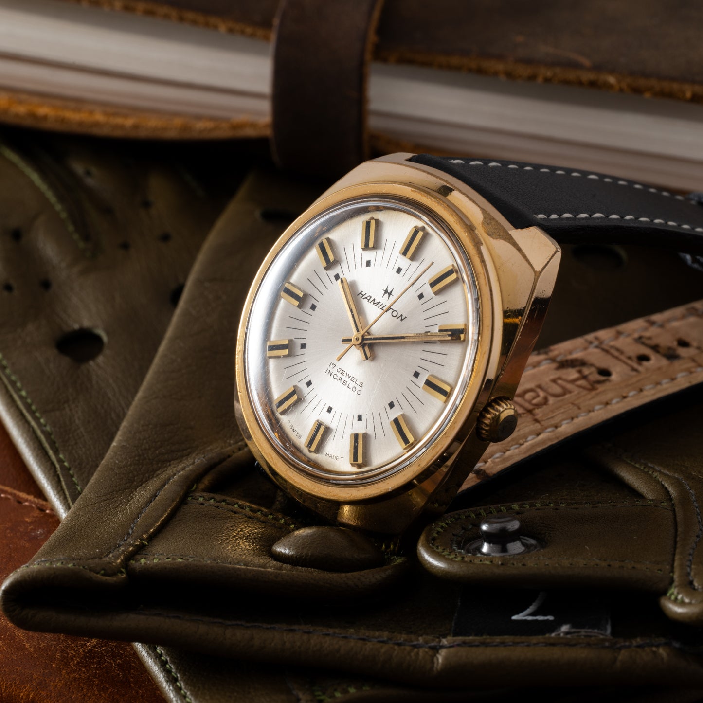 Hamilton Cushion Case