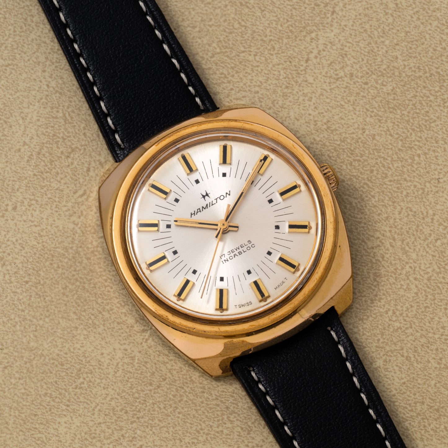 Hamilton Cushion Case