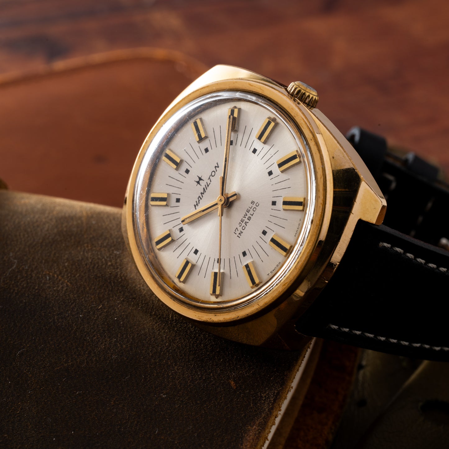 Hamilton Cushion Case