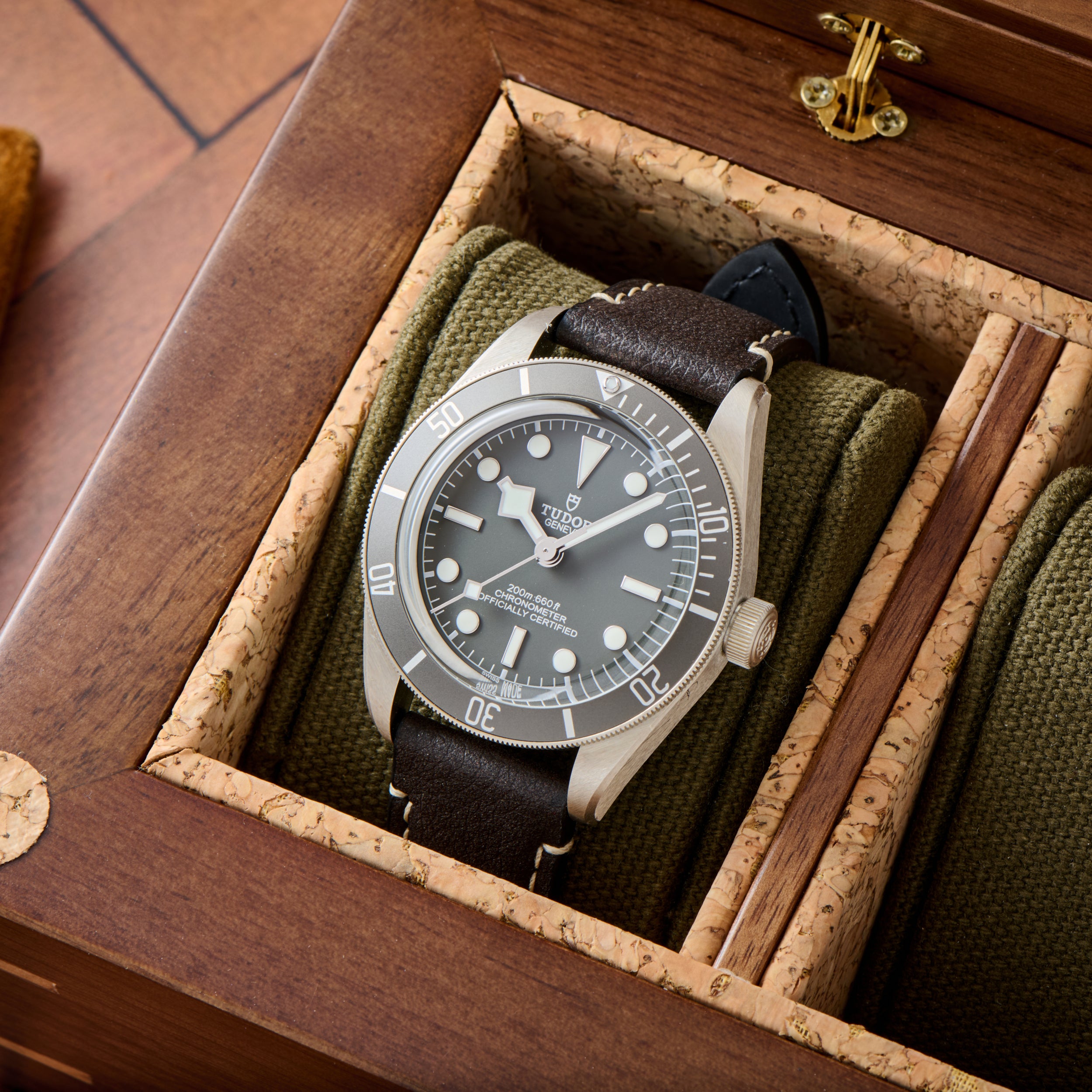 Tudor Black Bay 58 925 – Analog:Shift