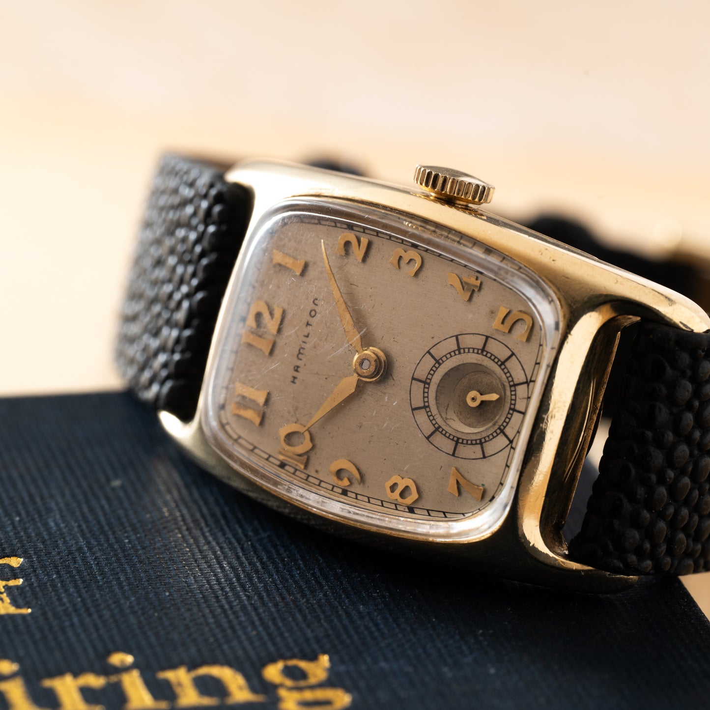 Hamilton Boulton 'Indiana Jones'