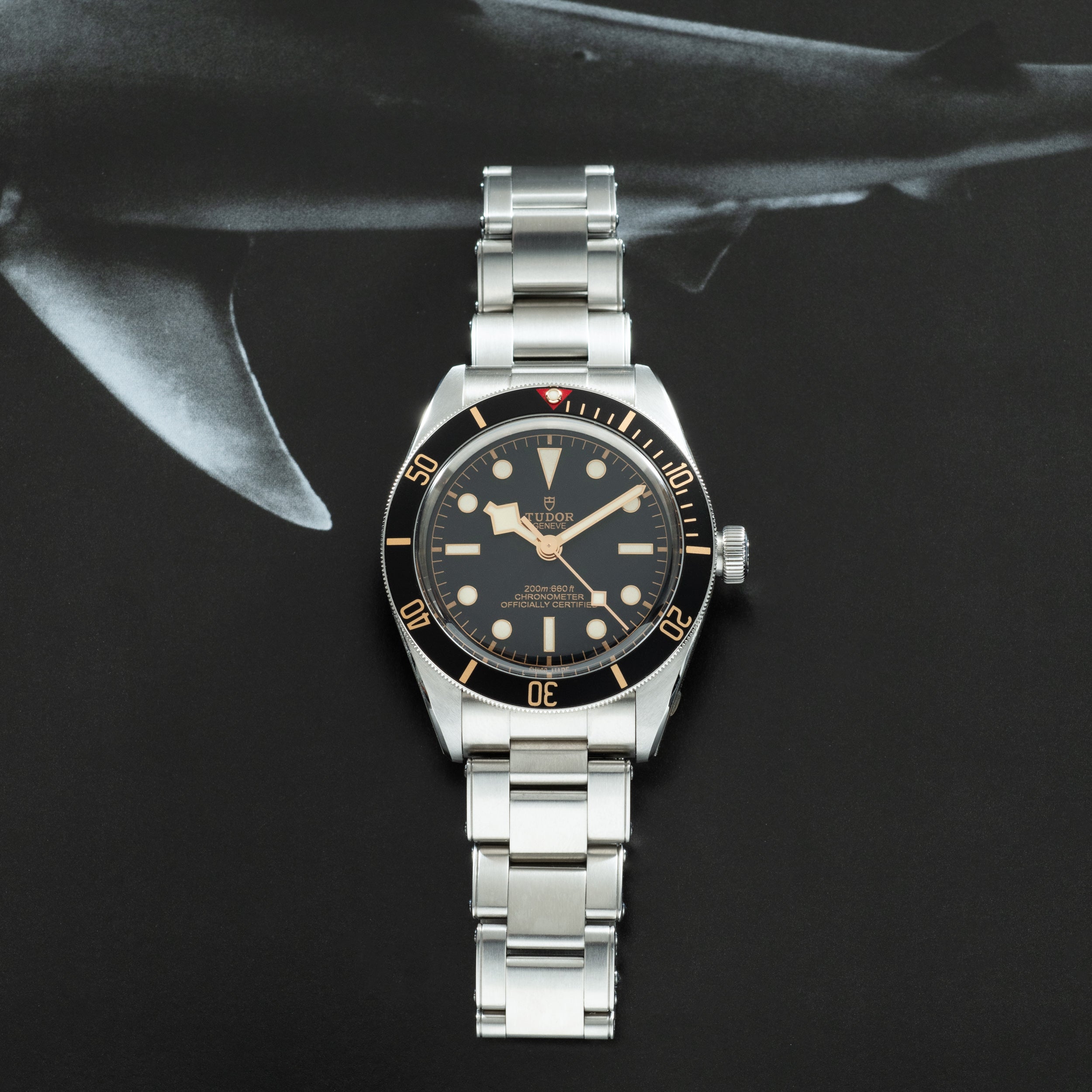Tudor Black Bay 58 – Analog:Shift