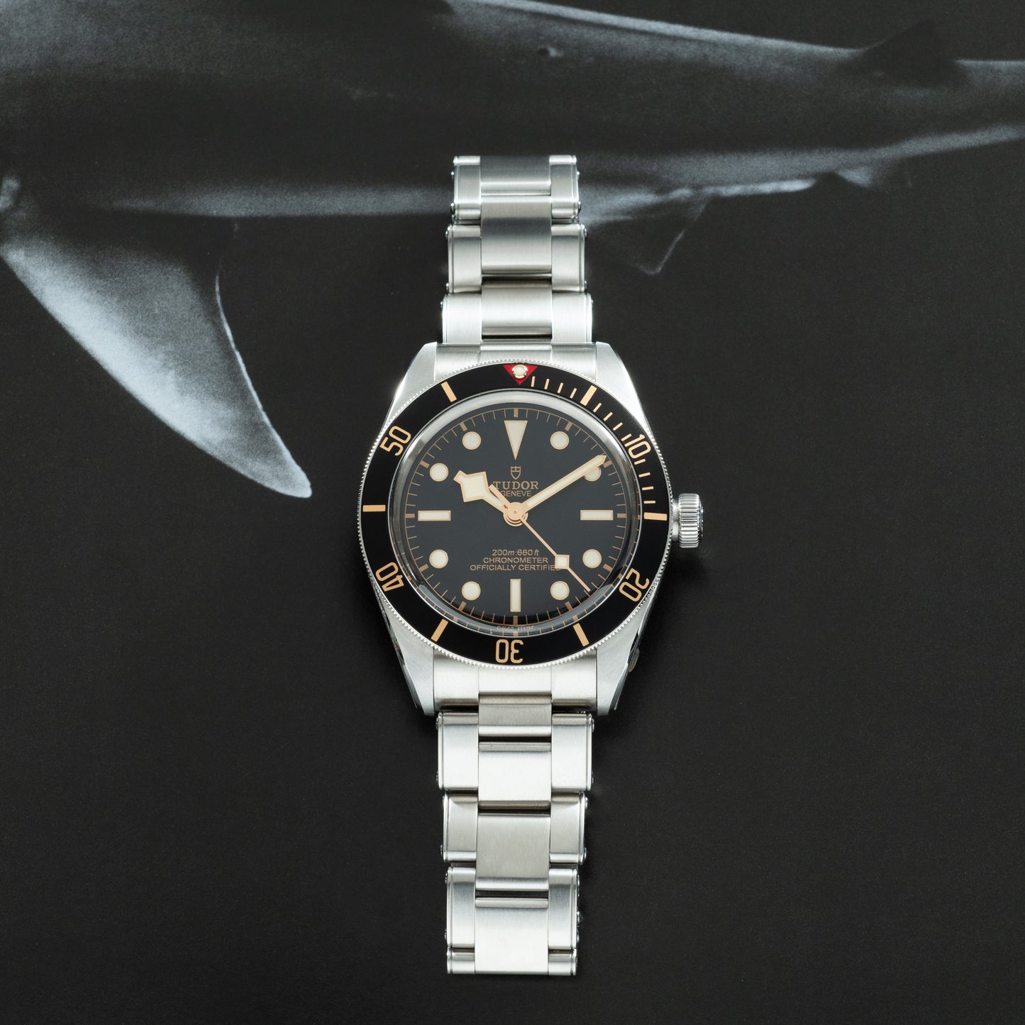 Tudor Black Bay 58