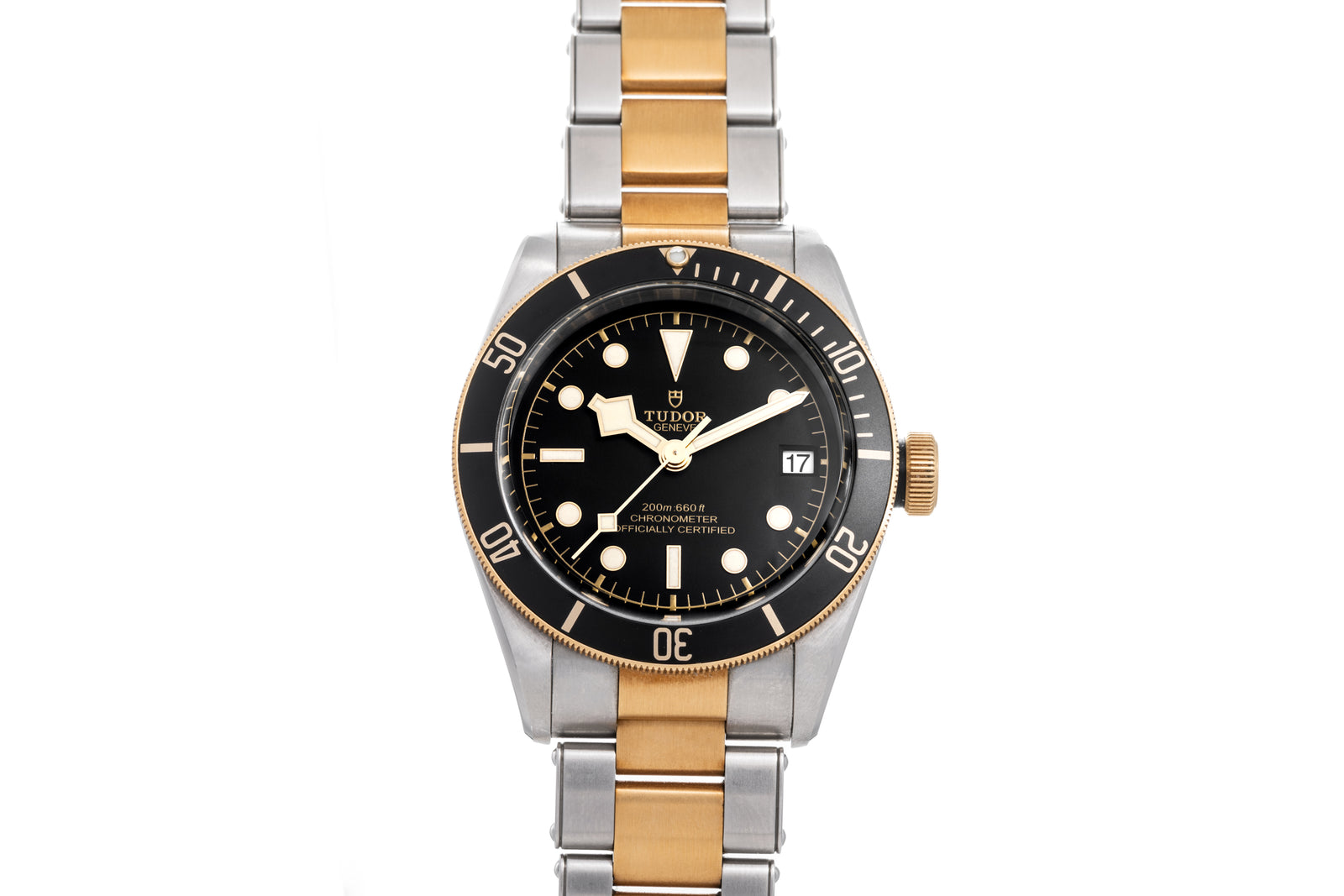 Tudor Black Bay S&G