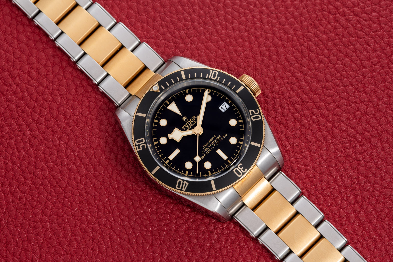 Tudor Black Bay S&G