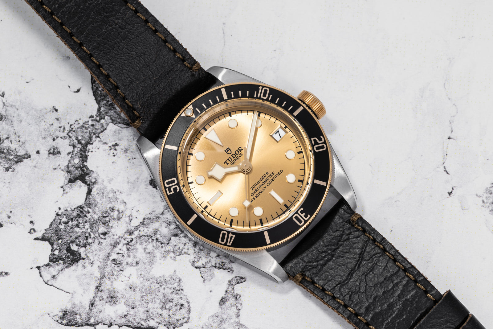 Tudor Black Bay S&G
