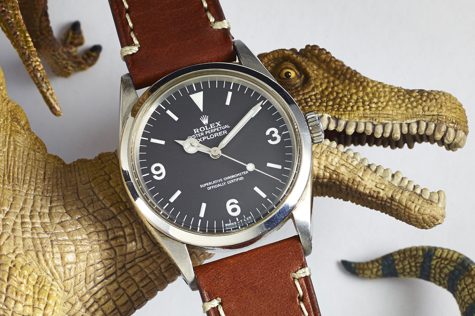 A Rolex Explorer 1016 - 1964 with a brown leather strap is placed at the open mouth of a toy dinosaur, with another small dino figure visible in the background.